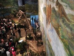 -自贡恐龙博物馆