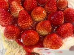 -高家小院柴火铁锅炖(哈西高铁站店)