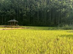 -高荡千年布依古寨旅游景区