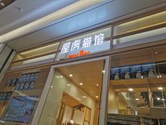 -屋虎猫馆(宝安大仟里店)
