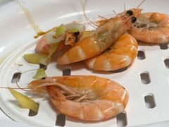 -鲁前海沿儿