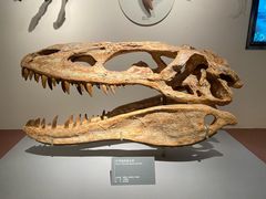 -自贡恐龙博物馆