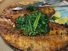 -滇越乘象云南餐厅(豆各庄店)