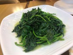 -台北楚楚园馅饼粥(虹桥南丰城店)