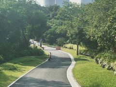 -玉树公园