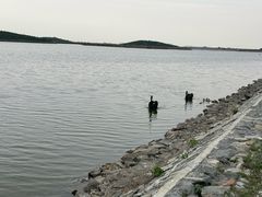 -南大港湿地风景区