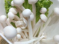 -尚海豆捞(乐虹坊店)