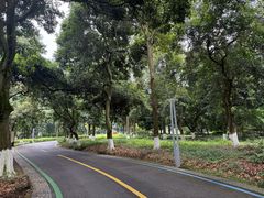 -张坝桂圆林公园