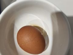 -清真·金城老碗牛肉面揪面片(兰州总店)