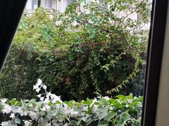 -怡得观滇餐厅·地道昆明菜·1996(海埂大坝店)