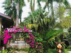 -呀诺达热带雨林