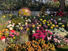-杭州植物园