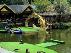 -西双版纳原始森林公园