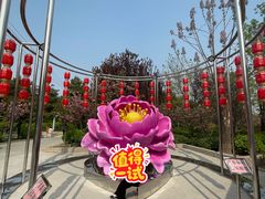 -太阳宫公园