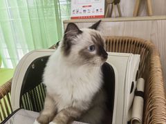 -亚宠动物医院·芭比堂宠物医院(盘龙店)