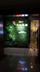 -西施无菌半永久纹绣眉眼影唇轻增发纹发际线