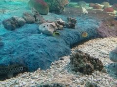 -北戴河圣蓝海洋公园