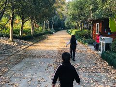 -杭州少年儿童公园