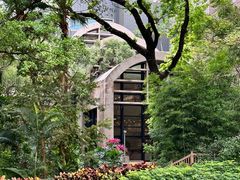 -香港大学