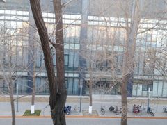 -北京师范大学邱季端体育馆