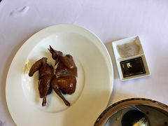 乳鸽-西郊壹号