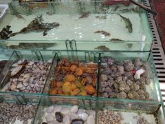 -滑记海鲜饭店·老字号(海鲜街店)