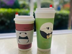 -成都大熊猫繁育研究基地