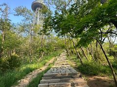 -青岛电视塔
