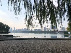 -天鹅湖体育公园