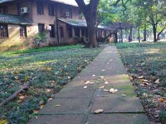 -中山大学学者灵芝(园南路店)