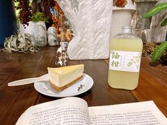 -Seesaw Coffee(深圳万象天地店)