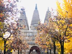 -北京石刻艺术博物馆(五塔寺)