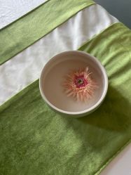 -梵隐SPA