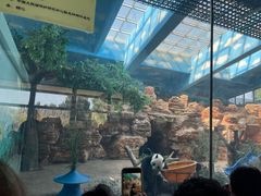 -石家庄市动物园