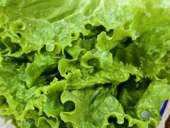 -平山城鑫烧烤(建国楼店)