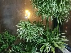 -新湖明珠城