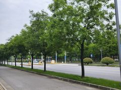 -洨河生态公园