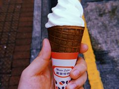-富豪雪糕车流动点(尖沙咀店)