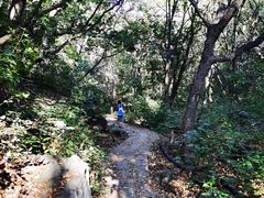 -云蒙山风景区