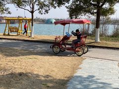 -上海都市菜园