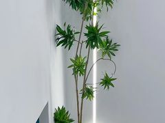 -上海第一八佰伴