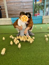 -萌宠亲子动物乐园(槐房万达店)