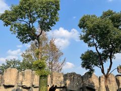 -上海野生动物园