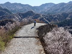 -龙泉峪长城