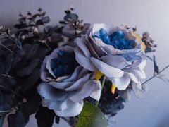 -解药·antidote Cafe&Bar