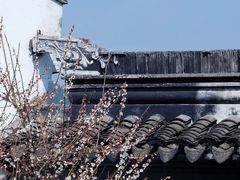 -香雪海