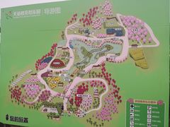 -天适樱花悠乐园