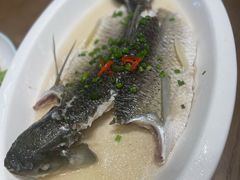 -雄仔农家菜馆·特色葱油鸡(六祖店)