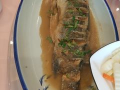 -海派美食·家宴海鲜青岛菜·石锅鲽鱼头(东方城店)