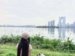 -金鸡湖景区
